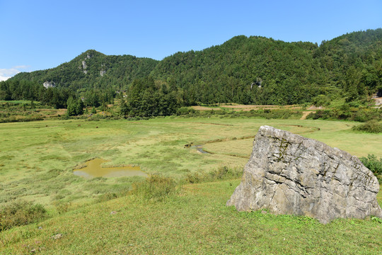 山区山脉草场放牧