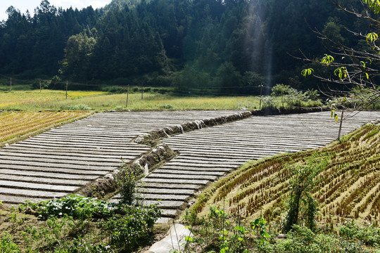 农村土地塑料薄膜种植