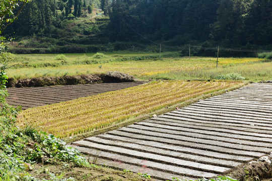 农村土地塑料薄膜种植