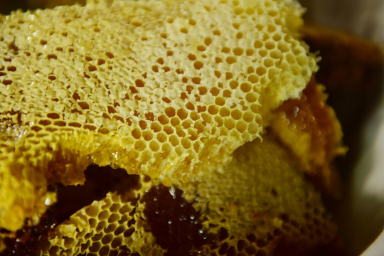 养蜂场取蜜蜂