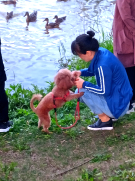 喂食