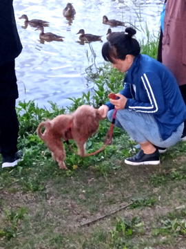 喂食