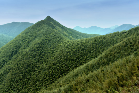 南山竹海