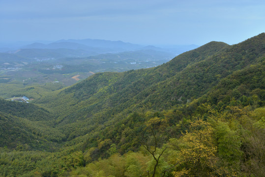 南山竹海
