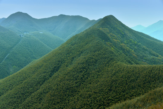 宜兴南山竹海