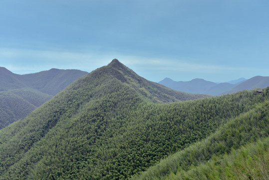 南山竹海