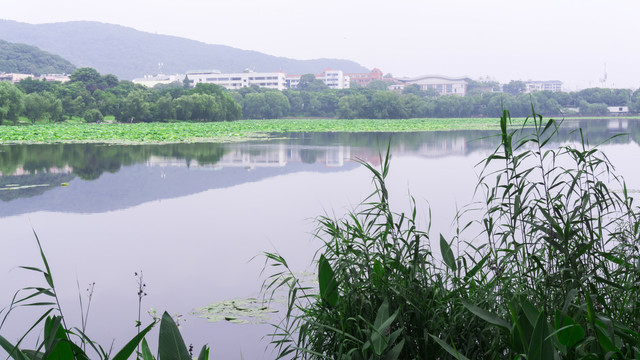 湖畔风景