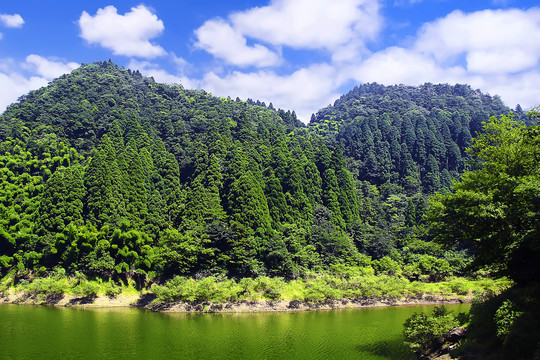 绿水青山