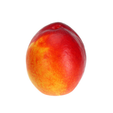 油桃