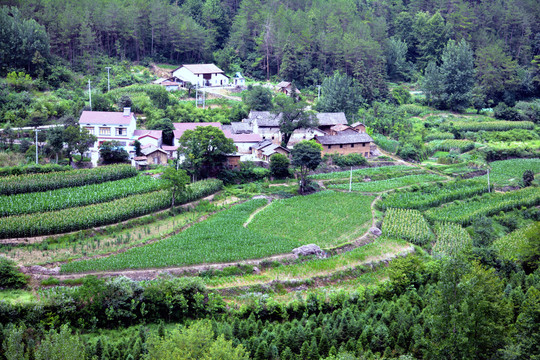 田园农村