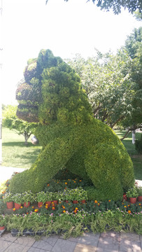 植物雕塑狮子