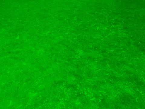 绿草