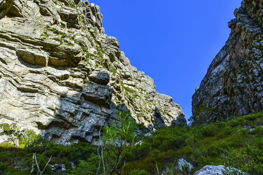 南非开普敦卓山