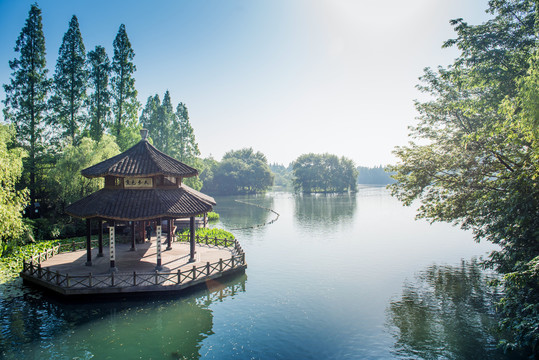 茅家埠黛色参天