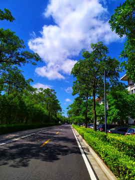 蓝天白云绿树道路