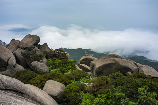 天柱山云海奇观