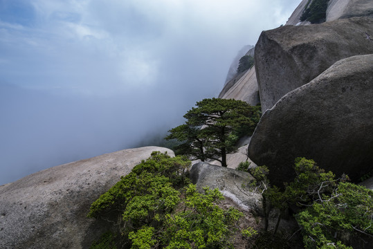 如梦似幻天柱山