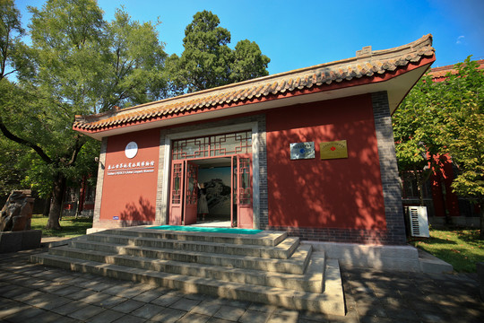泰山世界地质公园博物馆