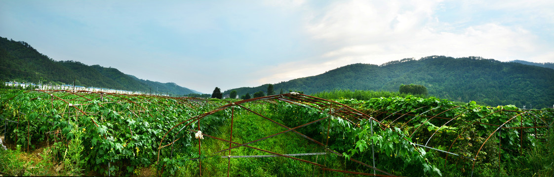 田园风景