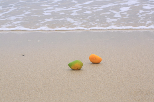 沙滩芒果
