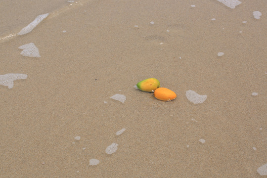 沙滩芒果