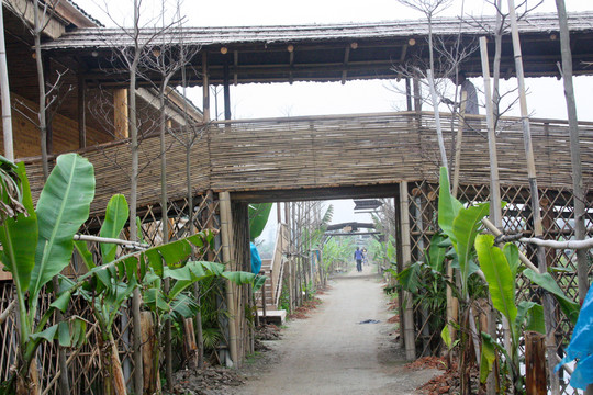 农庄竹桥