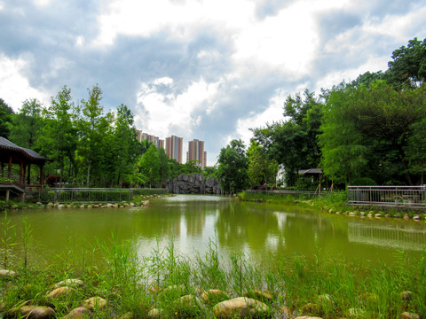 龙岗五马峰