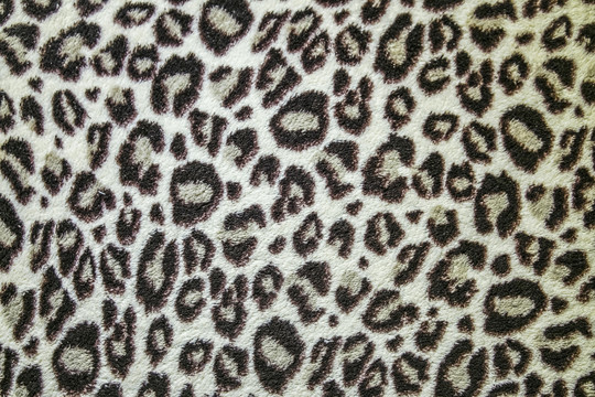 豹纹地毯高清大图