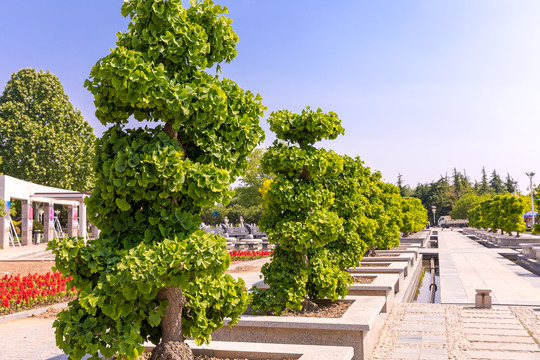 石家庄植物园