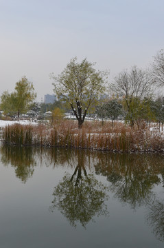 灞河雪景