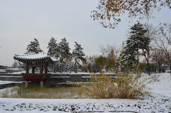 韩国风情园雪景