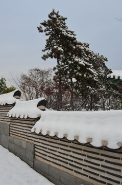 韩国园