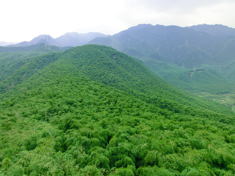 青山绿水