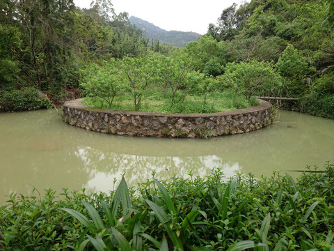 森林度假村景点