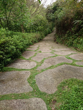 森林度假村景点