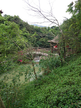 森林度假村景点