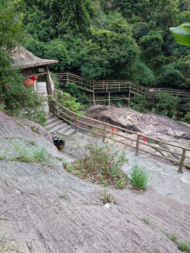 森林度假村景点