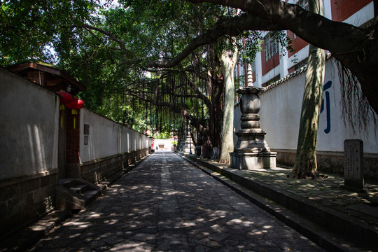 泉州承天寺