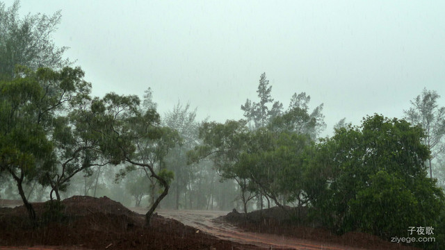 大雨滂沱