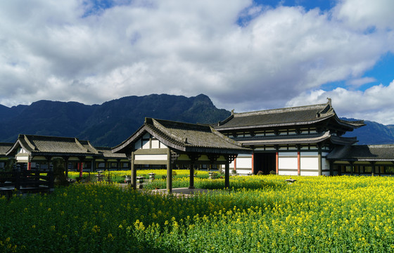 汉唐建筑光明寺飞檐斗拱