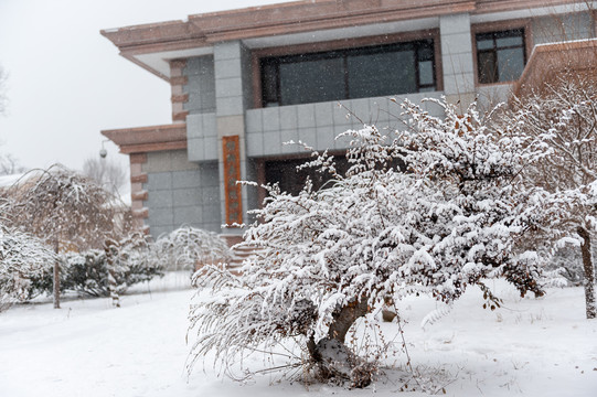 冰雪旅顺口风光