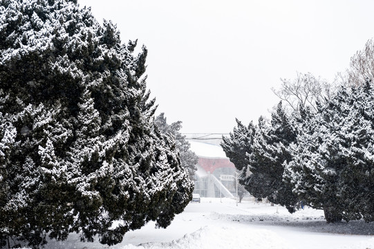 下雪