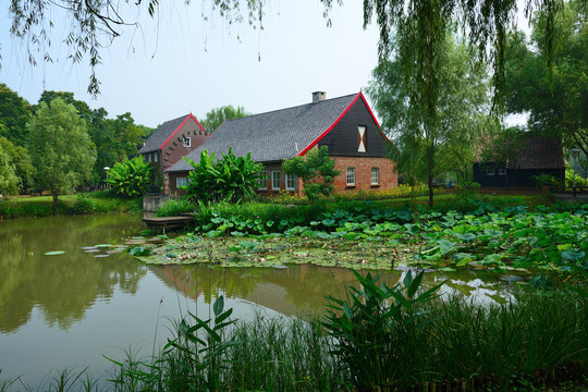南京绿博园荷兰园