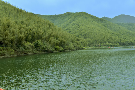 天目湖南山竹海