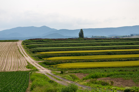 日本乡村