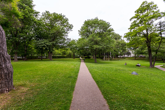 北海道大学