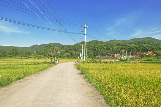 乡村印象美景
