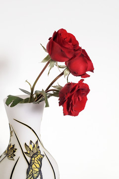 红玫瑰插瓶