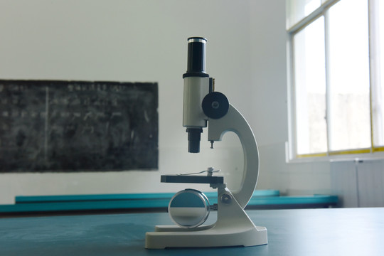 显微镜教学