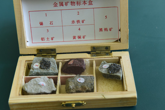 矿石标本模型
